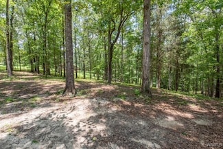 0 Frank Lary Rd Unit 169714, Northport, AL 35475