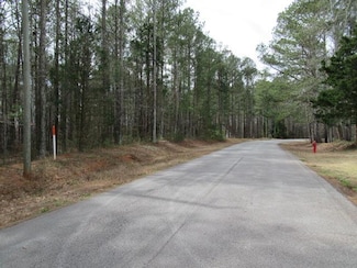 141 Nugget Rd, Carrollton, GA 30117