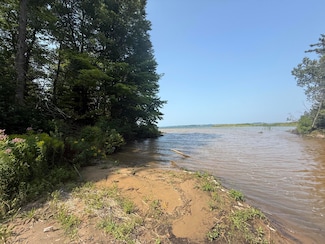 10730 W Lakeshore Dr, Brimley, MI 49715