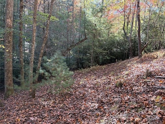 00 Caddis Ln Unit 94, Mills River, NC 28742