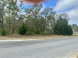 10492 Thrasher Ave, Weeki Wachee, FL 34614