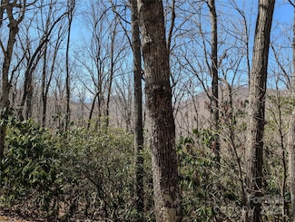 Lots 1 & 2 Summer Haven Rd, Swannanoa, NC 28778