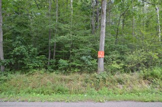 Lot # 4 Hibbard Rd, Horseheads, NY 14845