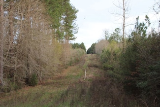 0 Hwy 583 N Unit LotWP001 19718421, Jayess, MS 39641
