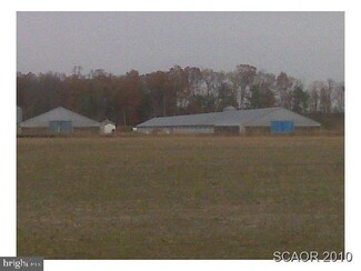 0 Beaver Dam Rd Unit 1001406452, Ellendale, DE 19941