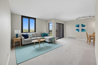 1181 Edgcumbe Rd Unit 914, Saint Paul, MN 55105