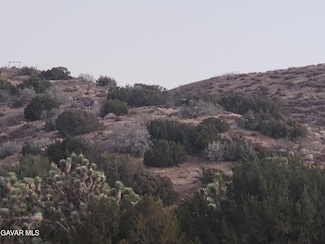 Vic Ave F12 155 Ste, Lancaster, CA 93535