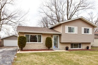 1002 Mildred Ln, University Park, IL 60484