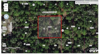 7150 W Broadway St, Dunnellon, FL 34433