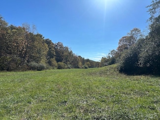 405 Masters Run Rd, Duncan, WV 25252