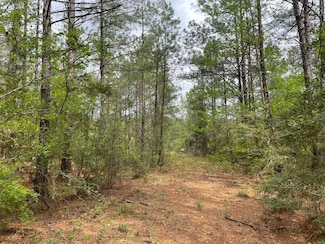 0000 Charlie Rhodus Rd, Magnolia, MS 39652