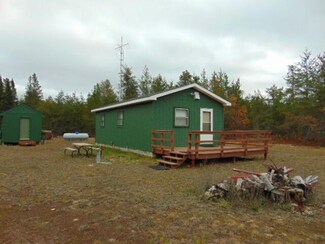11248 Birch Ridge Trail, Newberry, MI 49868