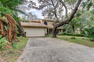 14728 Tall Tree Dr, Lutz, FL 33559
