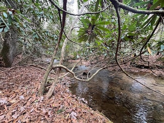 lot 1 Hay Dr, Morganton, GA 30560