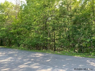 L11.12 Alcove Rd, Coeymans Hollow, NY 12046