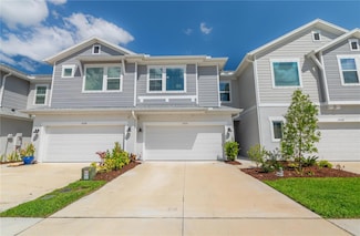 17212 Balance Cove, Land O Lakes, FL 34638