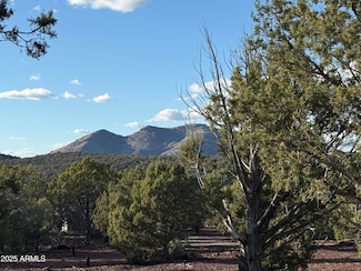 17375 W Beale Wagon Rd Unit 458 & 457, Williams, AZ 86046