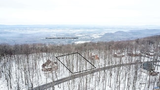 1331 Laurel Springs Dr, Wintergreen Resort, VA 22967