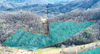 0 S Highway 32 Unit 1398695, Cosby, TN 37722