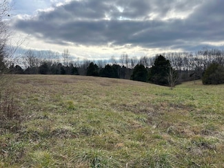 Tract 4-4 Raleigh Wilson Rd, Bowling Green, KY 42101