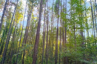 Lot 15 Louisiana 449, Pine Grove, LA 70453
