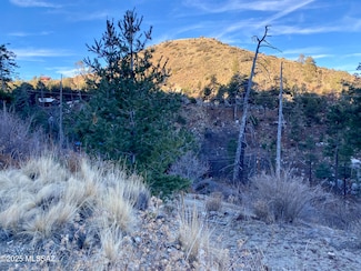 12955 N Phoenix Ave Unit 1, Mount Lemmon, AZ 85619