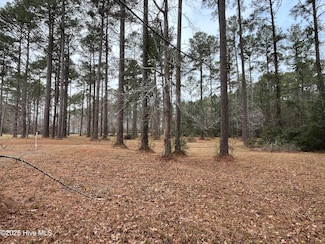 464 Dawson Creek Blvd, Oriental, NC 28571