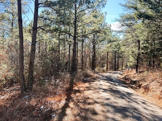 2a Redman Ridge Ln, Decatur, TN 37322