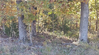 0 Donington Ln Unit 1327370, Bella Vista, AR 72714