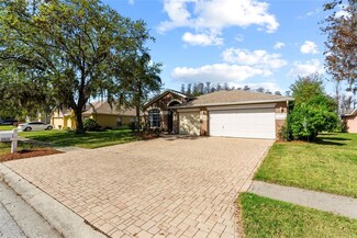 19826 Wyndham Lakes Dr, Odessa, FL 33556