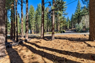 2405 Marshall Trail, South Lake Tahoe, CA 96150