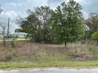 0 SE 152nd Ln, Summerfield, FL 34491