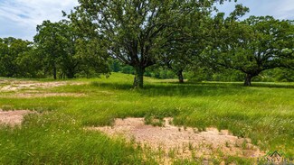 tbd Fm 3358, Gilmer, TX 75645