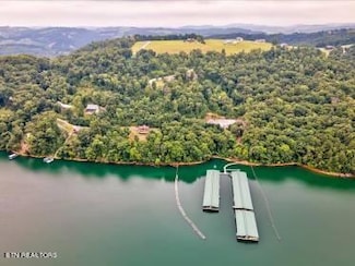 265 Marble Point Way, New Tazewell, TN 37825