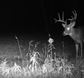 330th st 330th St, Onamia, MN 56359