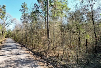 2405 Shelby Ln, Ozark, AR 72930