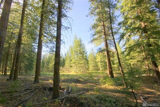 32 Liberty Ln, Winthrop, WA 98862
