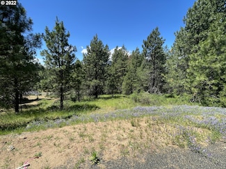 0 NW Howard Ct Unit Lot 2 22152102, White Salmon, WA 98672