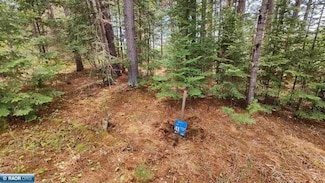 80064 Osprey Pass, Tower, MN 55790