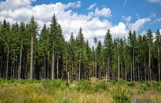 00 Bayou Cumbest Rd, Moss Point, MS 39562