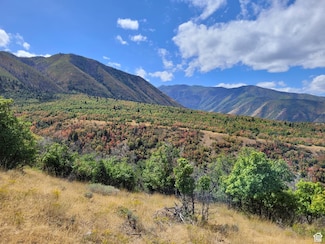 1400 S Eaglenest Dr, Woodland Hills, UT 84653