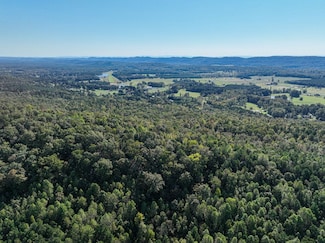 0 Slasham Rd Unit 25215005, Ashville, AL 35953