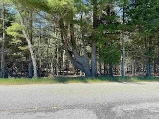 TBD Little Harbor Rd, Manistique, MI 49854