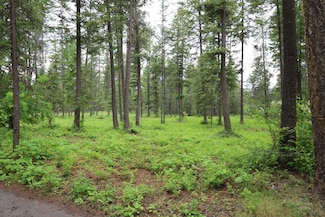 2559 Tbd United Copper Mine Rd, Chewelah, WA 99109