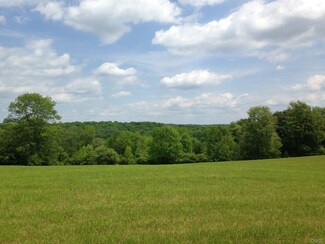 0 W State Highway 220 Rd Unit S1060029, Preston, NY 13830