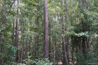 0 Opossum Branch Rd Unit 502935, Brantley, AL 36009