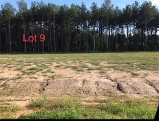 LOT 9 Theo Dr, Deville, LA 71328