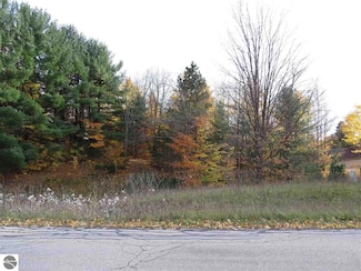 Lot 63 Eden St, Kingsley, MI 49649