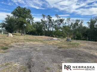 9205 N 156th St, Bennington, NE 68007