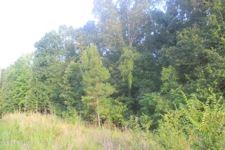 124 Cherrydale Dr, Coldwater, MS 38618